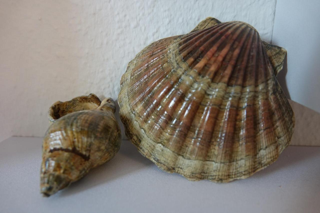 Ferienwohnung Kiel Exteriér fotografie